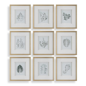 Uttermost Nature's Script - Elegant Set Of 9 Framed Botanical Prints With Gold Gallery Frame Gold,Green,White Plastic,Glass,Mdf,Paper 32449