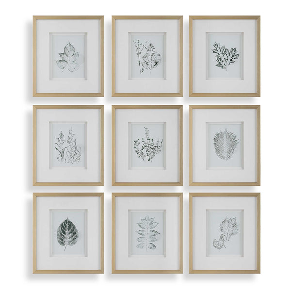 Uttermost Nature's Script - Elegant Set Of 9 Framed Botanical Prints With Gold Gallery Frame Gold,Green,White Plastic,Glass,Mdf,Paper 32449