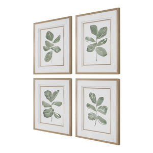 Uttermost Fiddle Leaf Botanical Prints Set Of 4 - Elegant Framed Art With Golden Accents & Glass Gold,Green,White Plastic,Mdf,Glass,Paper 32454