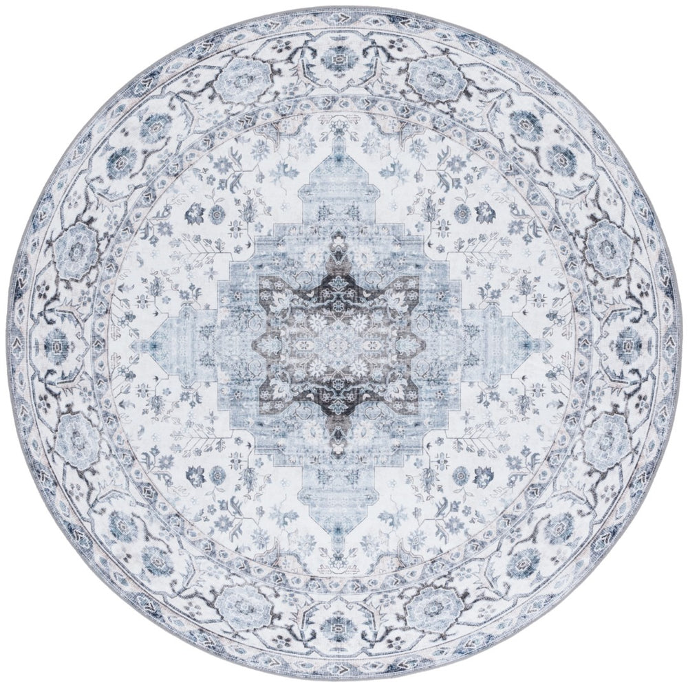 Safavieh Arizona 123 ARZ123 Power Loomed Traditional Rug Ivory / Blue ARZ123A-6