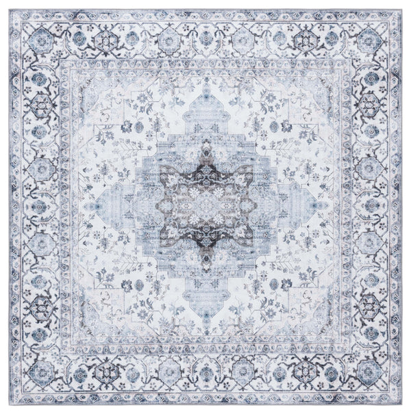 Safavieh Arizona 123 ARZ123 Power Loomed Traditional Rug Ivory / Blue ARZ123A-6