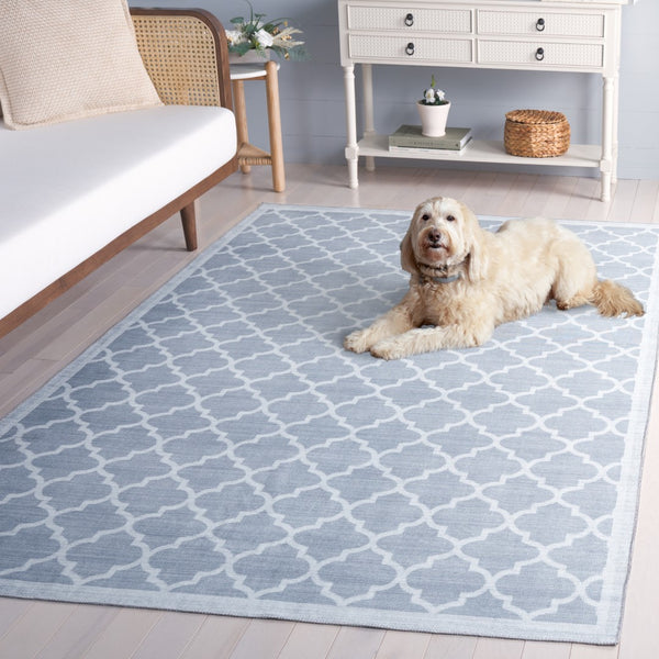 Safavieh Arizona 172f Grey / Ivory Grey ,Ivory Polyester Arz172f-5