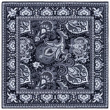 Arizona Exquisite Power Loomed Polyester Traditional Paisley Area Rug for Timeless Elegance