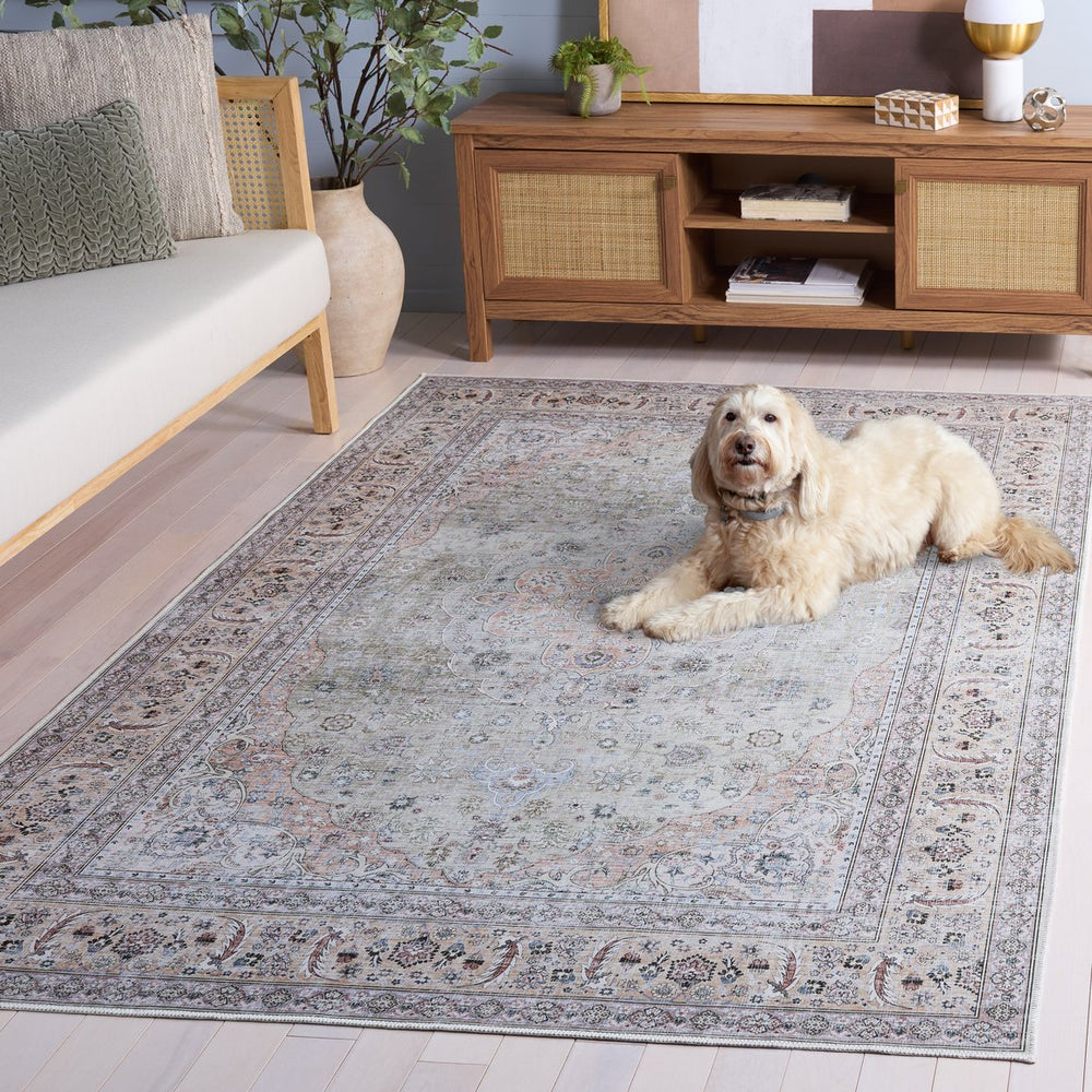 Safavieh Arizona Elegant Light Green & Beige Area Rug - 5x8 Feet, Washable, Slip Resistant, Timeless Style Light Green ,Beige Polyester Pile Arz222y-5