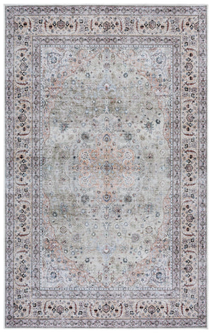 Safavieh Arizona Elegant Light Green & Beige Area Rug - 5x8 Feet, Washable, Slip Resistant, Timeless Style Light Green ,Beige Polyester Pile Arz222y-5