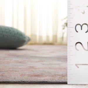 Safavieh Arizona 243 Power Loomed Traditional Rug Rust / Beige Polyester