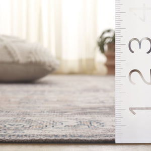 Safavieh Arizona 249 Power Loomed Traditional Rug Beige / Grey Polyester