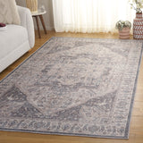 Safavieh Arizona 249 Power Loomed Traditional Rug Beige / Grey Polyester