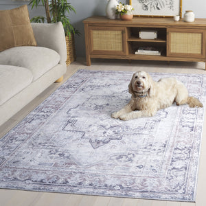 Safavieh Arizona Area Rug - Elegant Traditional Design, Washable, Slip-resistant, Perfect For Any Room Decor Ivory ,Grey Polyester Arz345a-8