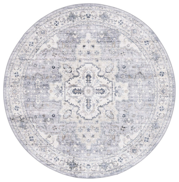 Safavieh Arizona 520 Power Loomed Traditional Rug ARZ520F-9