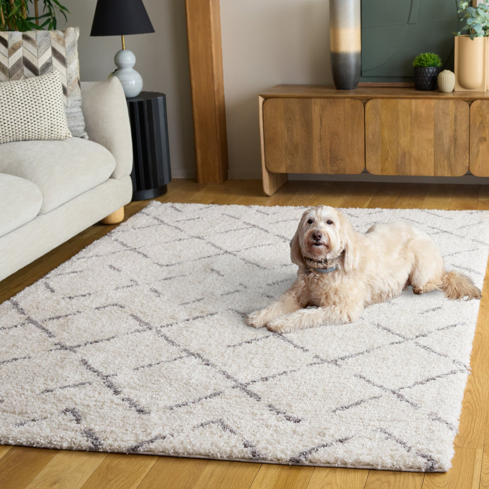 Safavieh Arizona Plush Shag Flokati Rug Ivory & Grey — Power-Loomed In Turkey, Deep Pile Cozy Texture 8'-0" x 10'-0" ASG743F-8