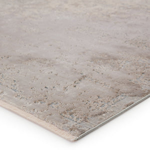 Jaipur Living Jaipur Living Alaina Viscose Medallion Rug Distressed Cream Gray Vintage Bedroom Accent 8'X10' RUG148383