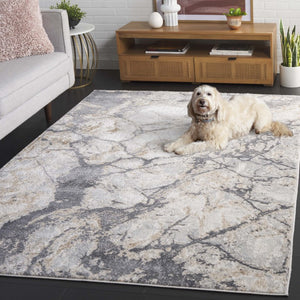 Safavieh Aura Power Loomed Turkish Blended Fiber Area Rug for Modern Neutral Living Spaces Beige AUA205B-5