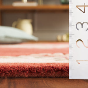 Safavieh Aubusson Hand-tufted Area Rug – Luxurious Ivory & Green Floral Design, Crafted For Timeless Elegance Rust ,Ivory 80% Wool,20% Cotton Aub301p-4