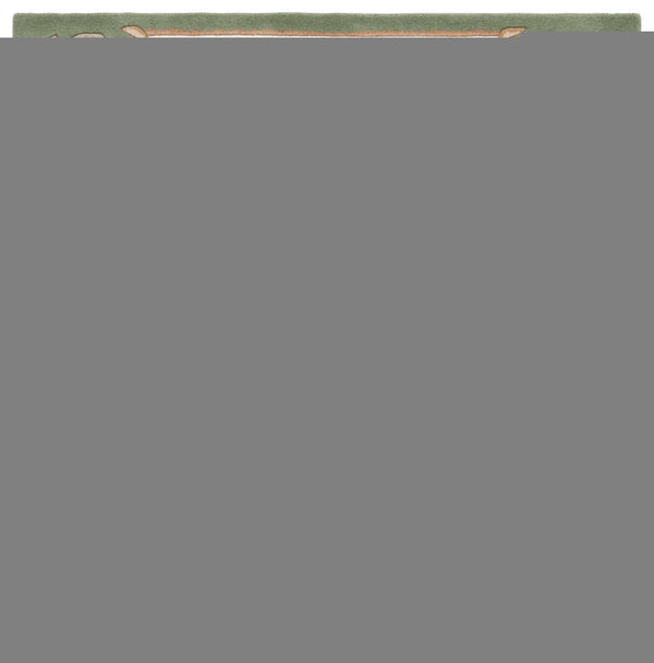 Safavieh Aubusson Hand-tufted Area Rug – Luxurious Ivory & Green Floral Design, Crafted For Timeless Elegance Green ,Ivory 80% Wool,20% Cotton Aub301y-6r