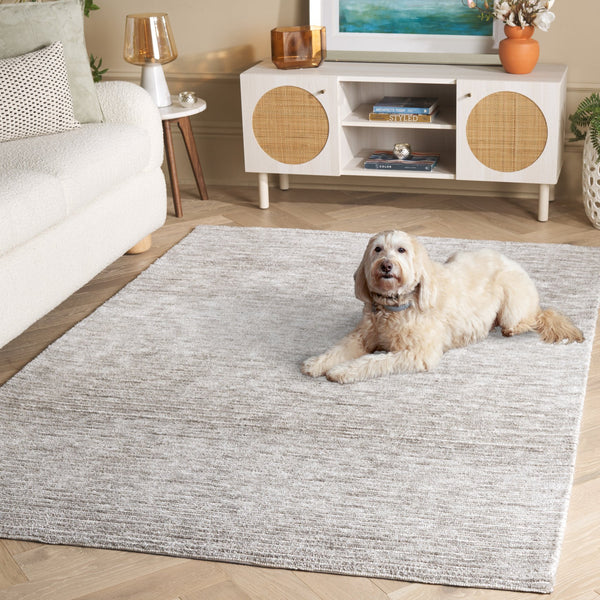 Safavieh Audrey Modern Ivory/Grey Area Rug - Enhance Your Space With Timeless Elegance And Comfort Today! Light Grey ,Ivory 80% Micro Polyester,20% Cotton Aud101g-8