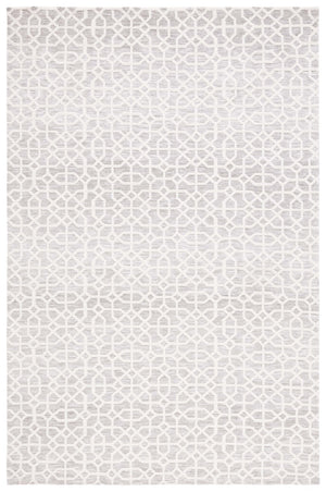 Safavieh Audrey 103 Power loomed Transitional Rug Light Grey / Beige 5' x 8'