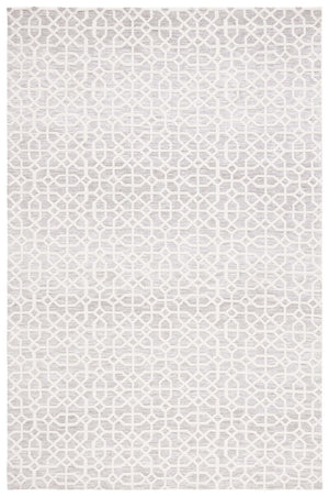 Safavieh Audrey 103 Power loomed Transitional Rug Light Grey / Beige 8' x 10'