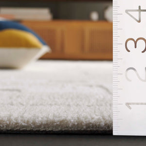 Safavieh Audrey Luxurious 6x6 Square Area Rug – Contemporary Design In Soft Micro Polyester & Cotton Blend Ivory 80% Micro Polyester,20% Cotton Aud109a-8