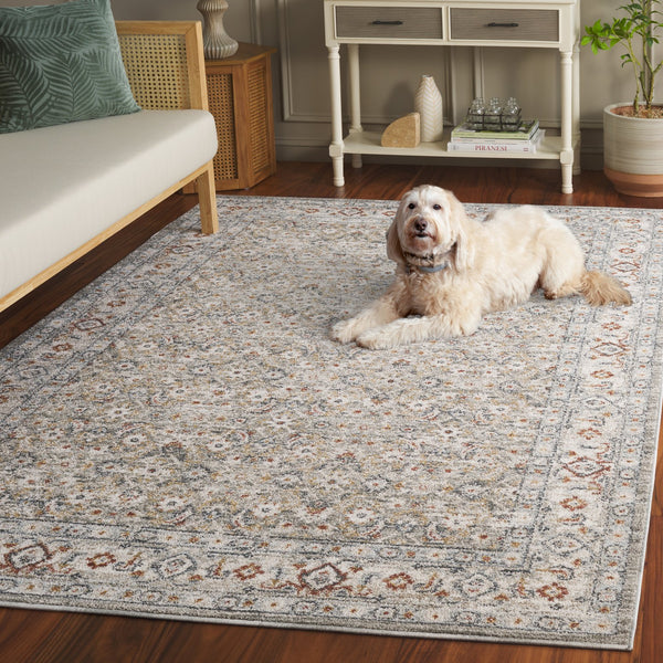 Safavieh Avalon Area Rug - Elegant Ivory And Light Blue Design With Softness, Durability, And Eco-friendly Quality Grey ,Light Blue Polyester Ava210f-9
