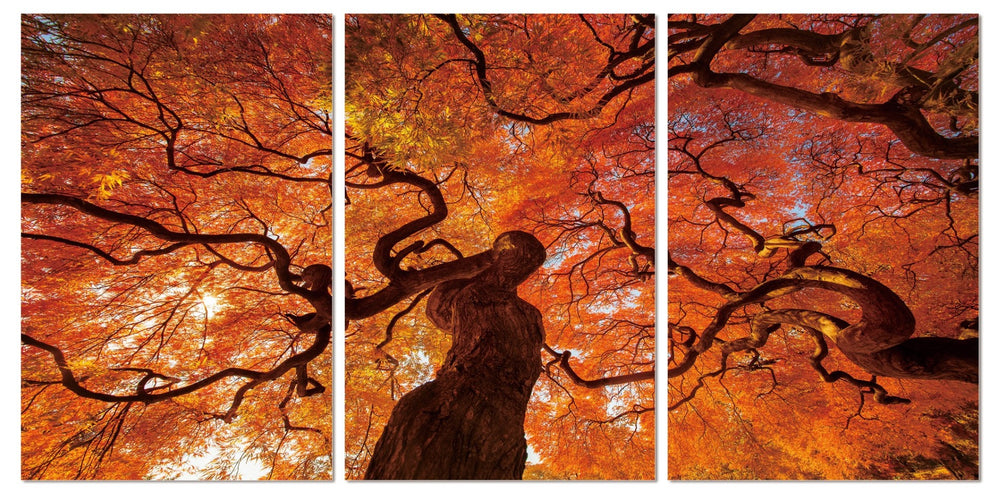 Wall Art Oak - Stunning Premium Acrylic Canvas Decor for Home, 47" H x 31" W, Perfect Conversation Piece