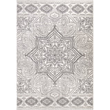 Adagio Paisley Points Machine Woven Polypropylene Floral Made In USA Area Rug