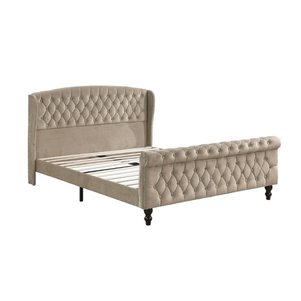 English Elm Modern Queen Platform Bed Dark Gray Velvet Tufted Wingback Headboard No Box Spring Brown B011P549020