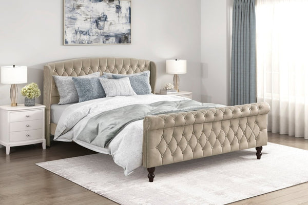 English Elm Modern Queen Platform Bed Dark Gray Velvet Tufted Wingback Headboard No Box Spring Brown B011P549020