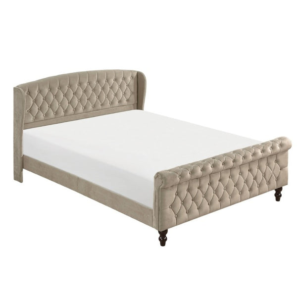 English Elm Modern Queen Platform Bed Dark Gray Velvet Tufted Wingback Headboard No Box Spring Brown B011P549020