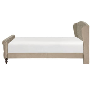English Elm Modern Queen Platform Bed Dark Gray Velvet Tufted Wingback Headboard No Box Spring Brown B011P549020