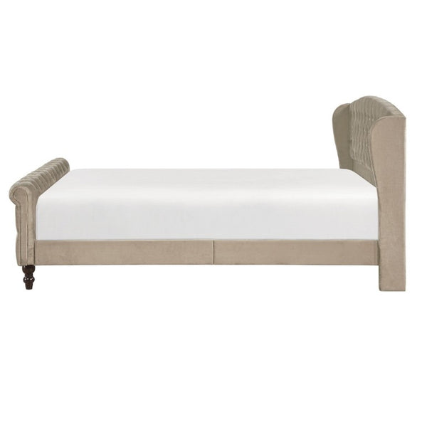 English Elm Modern Queen Platform Bed Dark Gray Velvet Tufted Wingback Headboard No Box Spring Brown B011P549020
