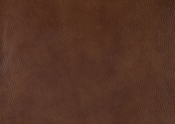 English Elm Love Seat Top-Grain Leather Loveseat with Nailhead Trim and Pocket Coil Support B011P575198