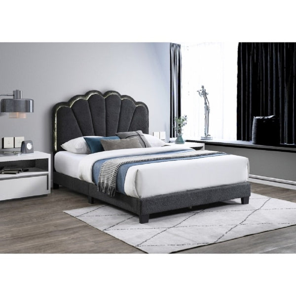 English Elm Modern Glam California King Bed Bouclé Shell Arch Headboard with LED Ambient Lighting Dark Gray 86.42 L x 73.62 W x 54.13 H Boucle,MDF,Solid Wood B011P575283