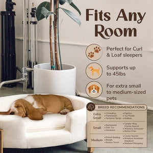 English Elm Calming Oval Pet Bed with Solid Wood Frame Elevated Base Neutral Fabric Cushion B011P577477