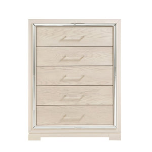 English Elm Modern Glam Tall Five Drawer Chest with Mirror Trim Acrylic Handles Bedroom Storage 5-Drawer Tall Chest B011P580886