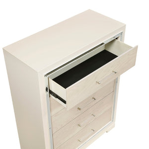 English Elm Modern Glam Tall Five Drawer Chest with Mirror Trim Acrylic Handles Bedroom Storage 5-Drawer Tall Chest B011P580886