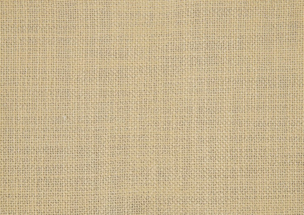 English Elm Accent Wingback Chair with Button Tufting Textured Polyester Fabric and Solid Wood Legs B011P581791