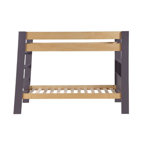 English Elm Contemporary Twin Over Bunk Bed with Bookcase Headboard Solid Wood Kids Bedroom B011S02731