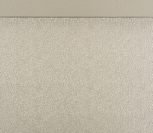 English Elm Modern Glam Queen Bed Pearlized Faux Leather Headboard with Crystal Tufting Silver Frame B011S03603