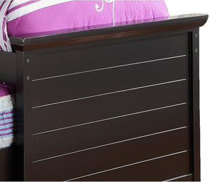English Elm Contemporary Twin Bed with Bookcase Headboard Storage Trundle and Pine Plywood Frame Black B011S03809