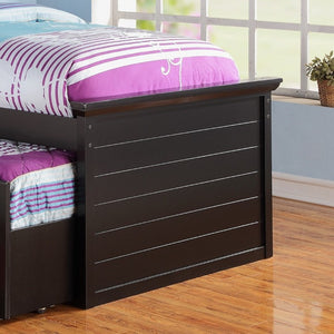 English Elm Contemporary Twin Bed with Bookcase Headboard Storage Trundle and Pine Plywood Frame Black B011S03809