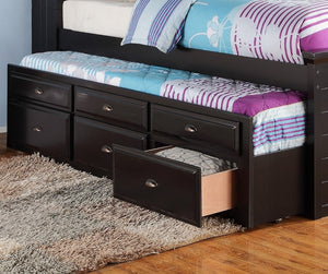 English Elm Contemporary Twin Bed with Bookcase Headboard Storage Trundle and Pine Plywood Frame Black B011S03809