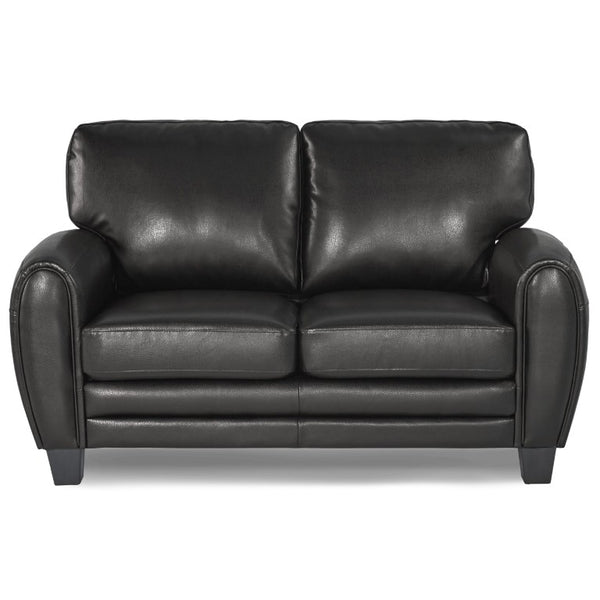 English Elm Modern Retro Two Piece Faux Leather Sofa Set with Solid Wood Frame for Living Rooms Black B011S04545