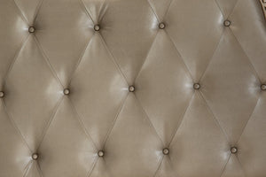 English Elm Formal Silver Birch Veneer Queen Sleigh Bed with Tufted Faux Leather Carved Headboard B011S07630