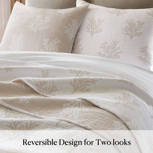 English Elm 3-Piece Reversible Cotton Blend Quilt Set for Full Queen Beds with Yarn-Dyed Fabric Tan/Gray B035P549339