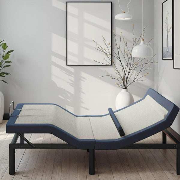 English Elm Queen Adjustable Bed Base with Lumbar Support Massage App Control and LED Lighting B047P296273