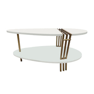 English Elm 36 Inch Oval Mango Wood Coffee Table Antique Brass Legs Open Shelf Living Room B056P161686