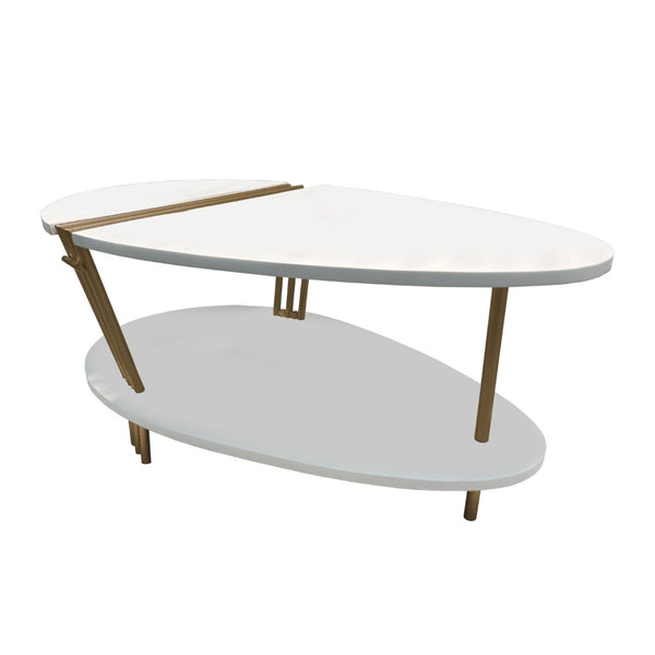 English Elm 36 Inch Oval Mango Wood Coffee Table Antique Brass Legs Open Shelf Living Room B056P161686