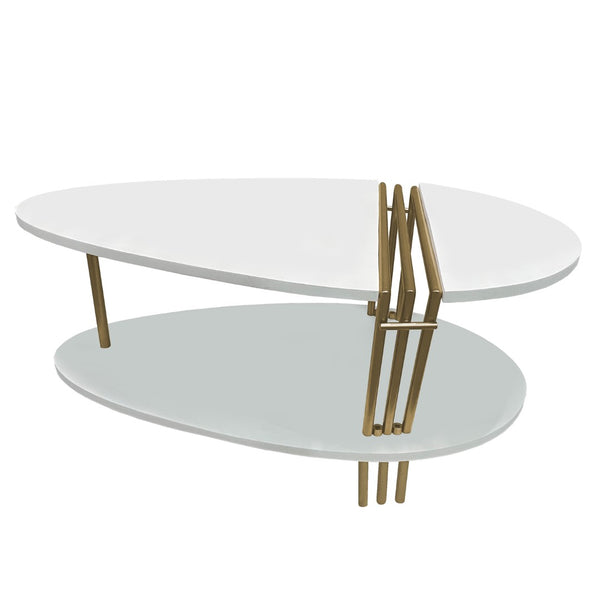 English Elm 36 Inch Oval Mango Wood Coffee Table Antique Brass Legs Open Shelf Living Room B056P161686
