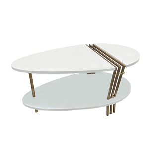 English Elm 36 Inch Oval Mango Wood Coffee Table Antique Brass Legs Open Shelf Living Room B056P161686